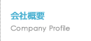 ЊTv Company Profile